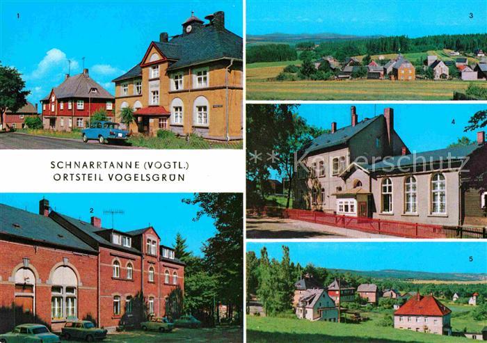 Schnarrtanne Vogelsgruen