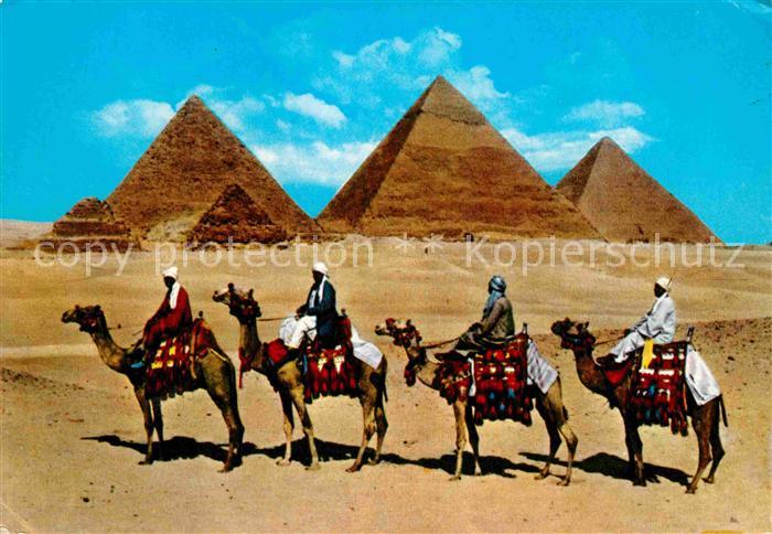 Kamel  Camel Chameau Camel Caravan Giza Pyramids