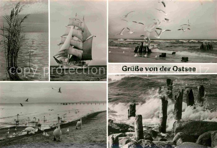 Segelschiffe Moewen Schwaene Ostsee