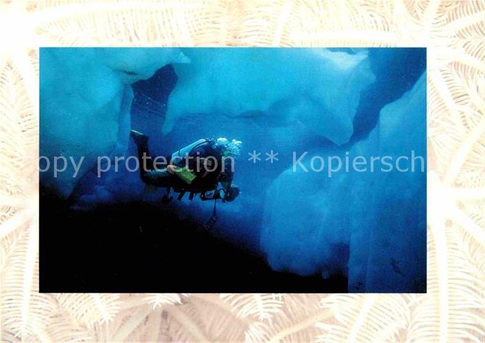 Sport Tauchen Taucher