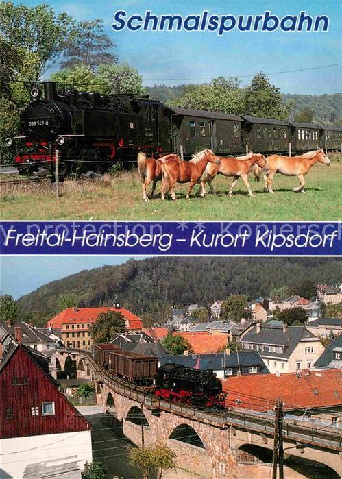 Lokomotive Schmalspurbahn Freital-Hainsberg-Kipsdorf Obercarsdorf Bruecke
