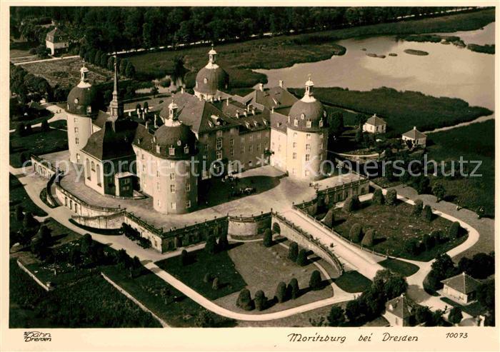 Foto Hahn Nr. 10073 Moritzburg Dresden