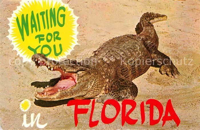 Krokodile Florida