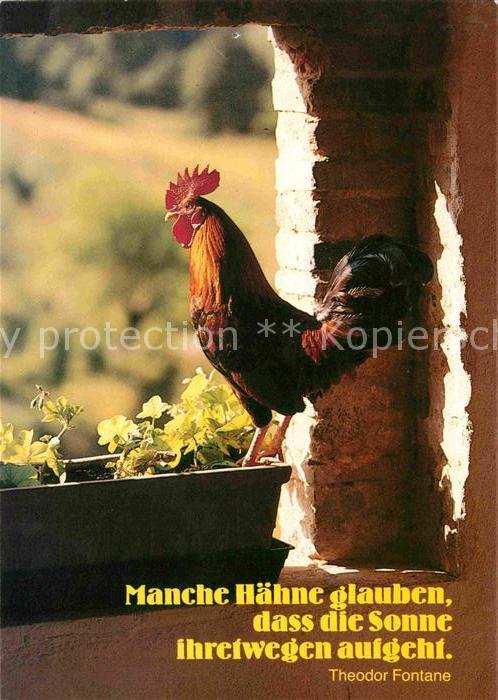 Gefluegel Hahn Theodor Fontane