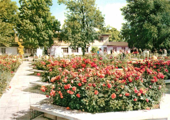 Gartenbauaustellung Erfurt Rosengarten