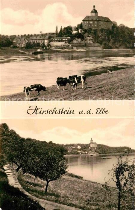 Hirschstein Elbe Riesa Elbpartie