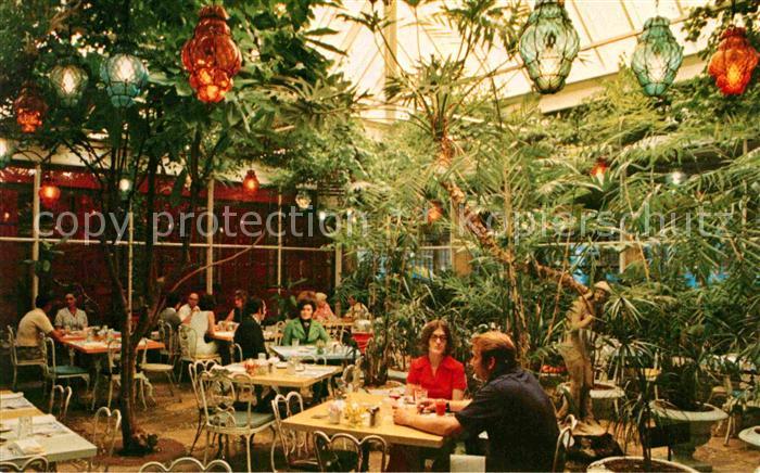 Clearwater Florida Kapok Tree Patio dining amid a tropical indoor garden