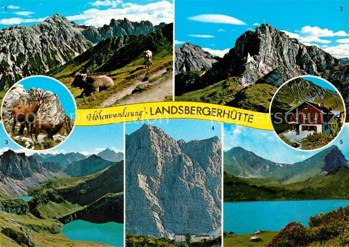 Tannheim Tirol Hoehenwanderweg Landsbergerhuette Lailachspitze Schochenspitze Ho