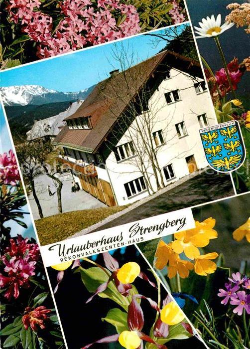 Puchberg Schneeberg Urlauberhaus Strengberg Alpenblick Blumen