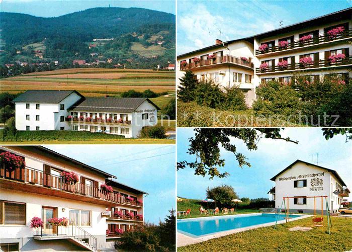 Penzendorf Neudorf Steiermark Waldpension Greinbacherhof Swimming Pool