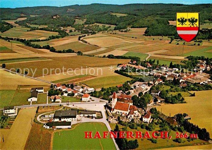 Hafnerbach mit Ruine Hohenegg Fliegeraufnahme