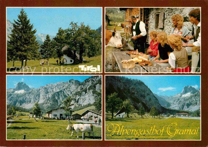 Pertisau Achensee Alpengasthof Gramai Karwendelgebirge Alm Kuh Brotzeit