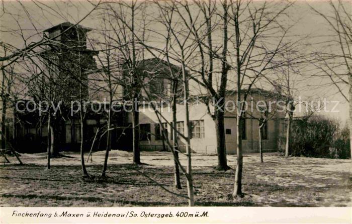 Maxen Finkenfang Handabzug