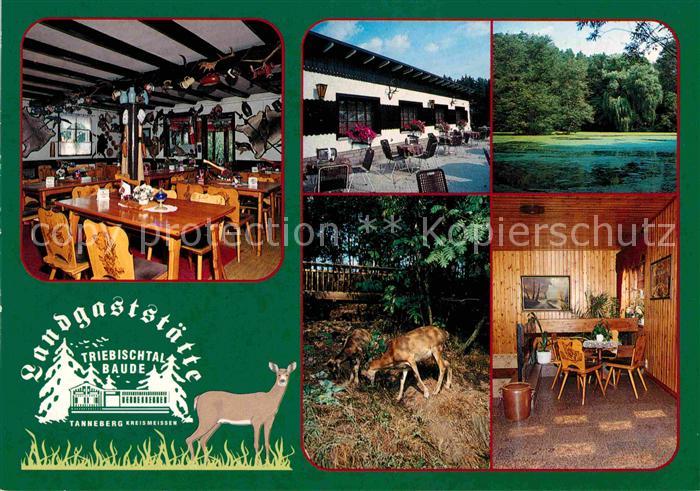 Tanneberg Triebischtal Landgaststaette Triebischtalbaude Ausflugsziel Landschaft