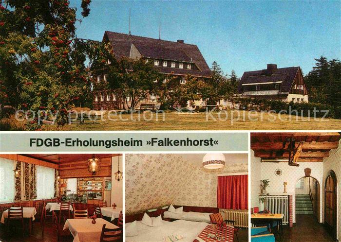 Waldidylle FDGB Erholungsheim Falkenhorst
