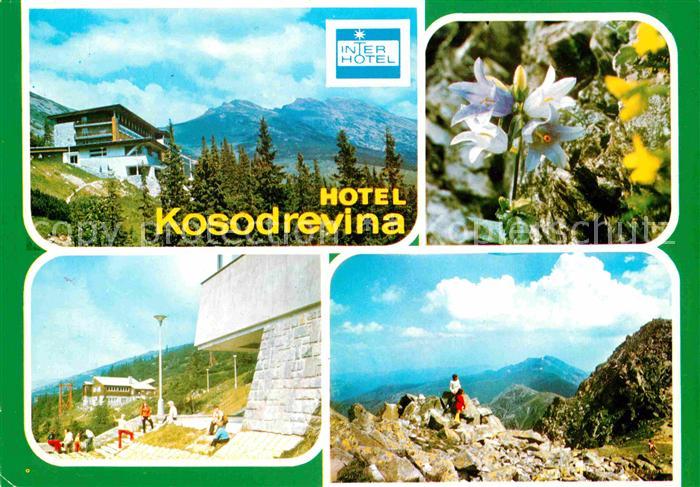 Banska Bystrica Hotel Kosodrevina Niedere Tatra Gebirgspanorama Blumen