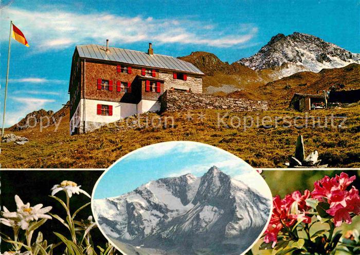 Edelhuette mit Ahornspitze Zillertaler Alpen Edelweiss Alpenflora
