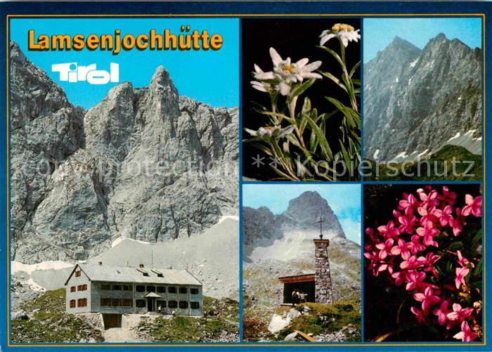 Lamsenjochhuette mit Lamsenspitze Naturschutzgebiet Karwendel Alpenflora