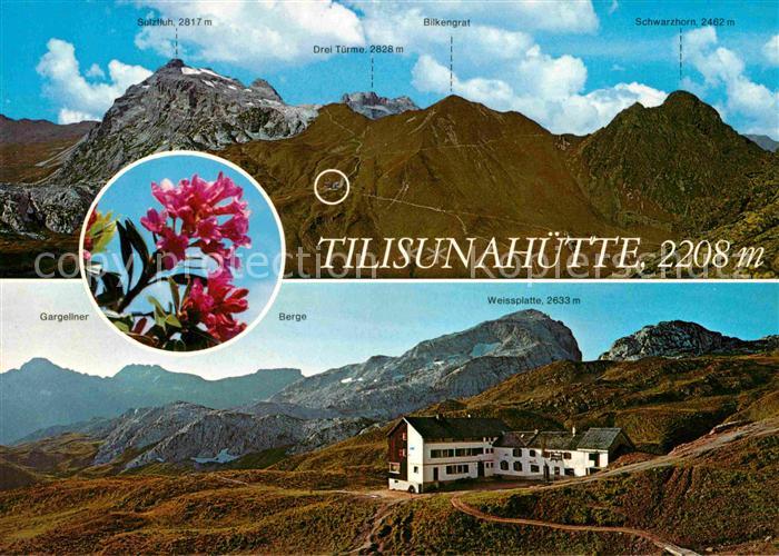 Tilisunahuette Panorama Raetikon Montafon Alpenflora