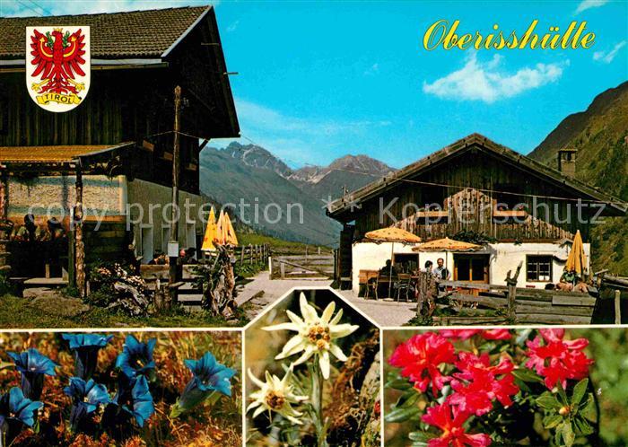 Stubaital Oberisshuette Alpenflora Stubaier Alpen