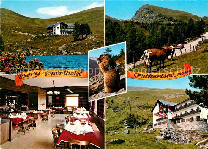 Falkert Reichenau Kaernten Berghotel Murmeltier