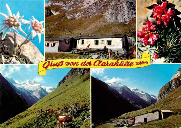 Praegraten Grossvenediger Clarahuette Umbaltal Roetspitze Edelweiss