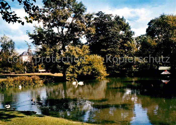 Bitburg Parkanlagen Schwaene