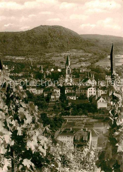 Neuenahr-Ahrweiler Bad Rebenhuegel Panorama