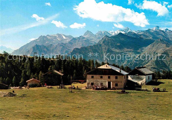 Schenna Meran Gasthaus Tallner-Alm Hirzerhuette