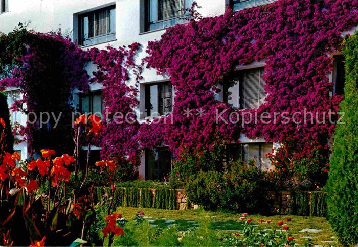 Mallorca Pollensa Hotel Formentor
