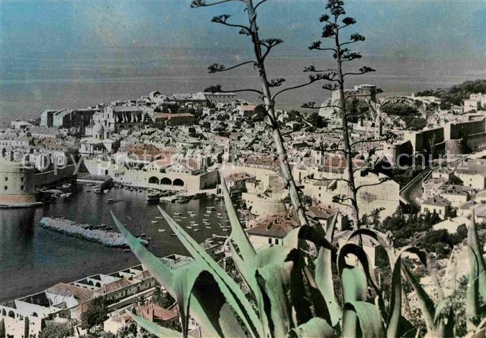 Dubrovnik Ragusa Altstadt Hafen