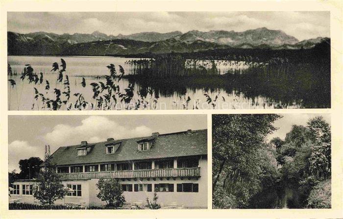 Eching Ammersee Stegen Bayern Pension-Seeblick Cafe-Seeblick Ammersee See Schilf