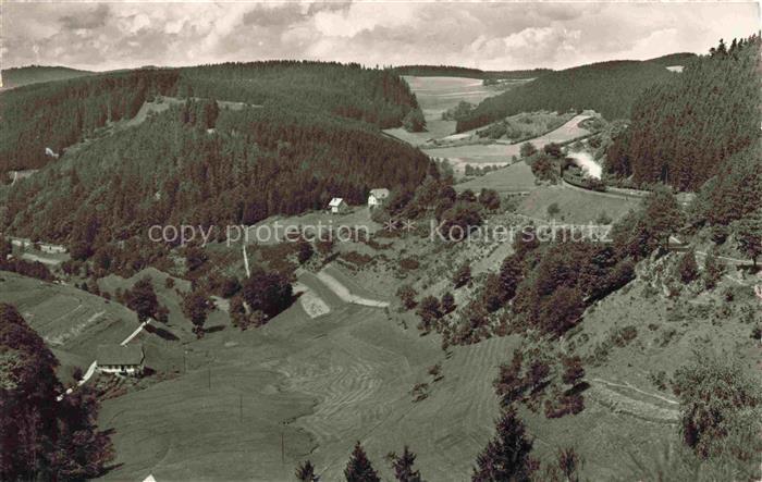 Nussbachtal Nussbach Triberg Schwarzwald BW Schwarzwald Tal Wald Wiesen Dampfzug