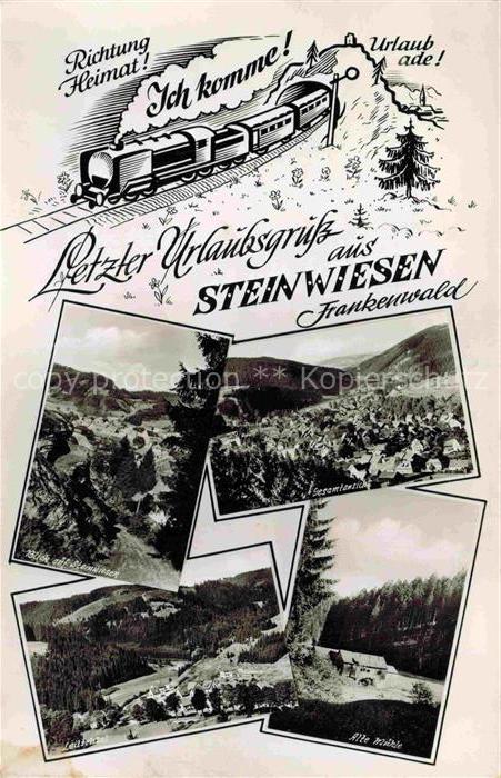 Steinwiesen Kronach Bayern Frankenwald Gesamtansicht Felsen Leiturz Alte-Muehle