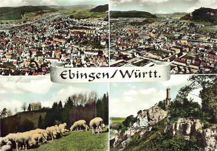 Ebingen Albstadt BW Fliegeraufnahme Stadtansicht Schafe Weide Felsen Turm Zoller