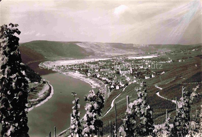 Kroev Croev Croev Mosel Mosel Fluss Weinberge Tal Kirche Ortschaft Flussschleife