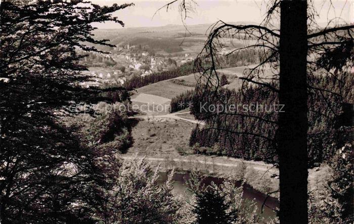 Daun Vulkaneifel Rheinland-Pfalz Eifel Tal Wald Fluss Ortschaft Huegel Nadelwald