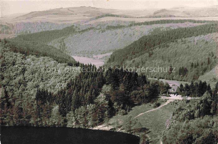 Daun Vulkaneifel Rheinland-Pfalz Gemuendener-Maar Liesertal Eifel Wald Nadelwald