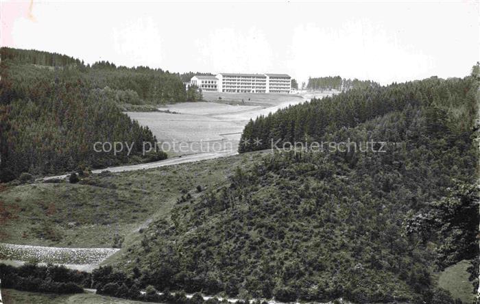 Daun Vulkaneifel Rheinland-Pfalz Knappschafts-Kurheim Eifel Wald Nadelwald Wiese