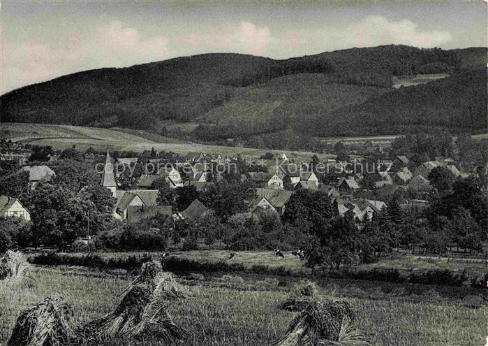 Hohenhausen Kalletal Lippe NRW Dorf Kirche Getreidegarben Wester-Kalle Huegel Wa