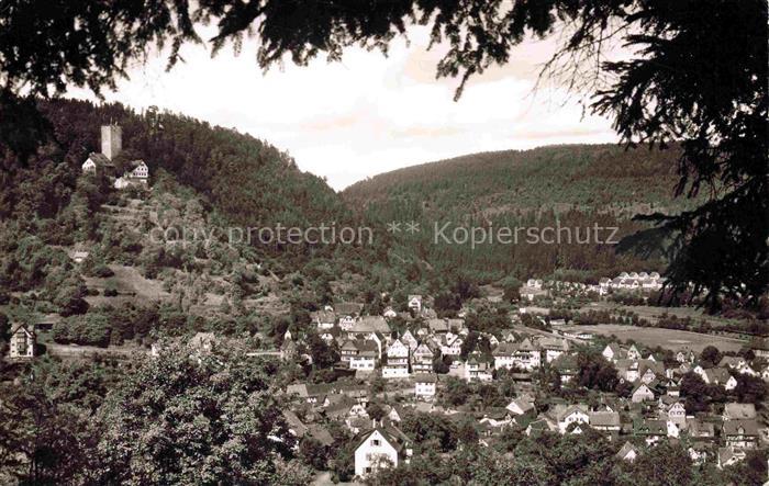 BAD LIEBENZELL BW Stadtpanorama Tal Bergwald Burg Wohnhaeuser Schwarzwald Schoen