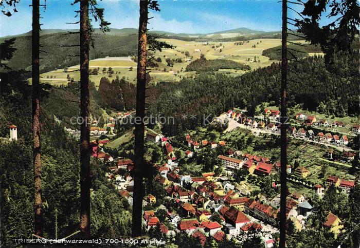 Triberg Schwarzwald BW Schwarzwald Ortschaft Talblick Fichten Waelder Haeuser Pa