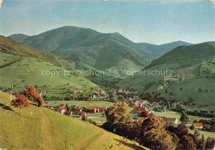 Muenstertal Schwarzwald BW Muenstertal Schwarzwald Belchen Tal Dorf Wiesen Herb