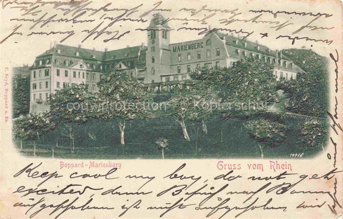 Marienberg Boppard Rhein Rheinland-Pfalz Marienberg Kloster Rhein Baeume Gruenan
