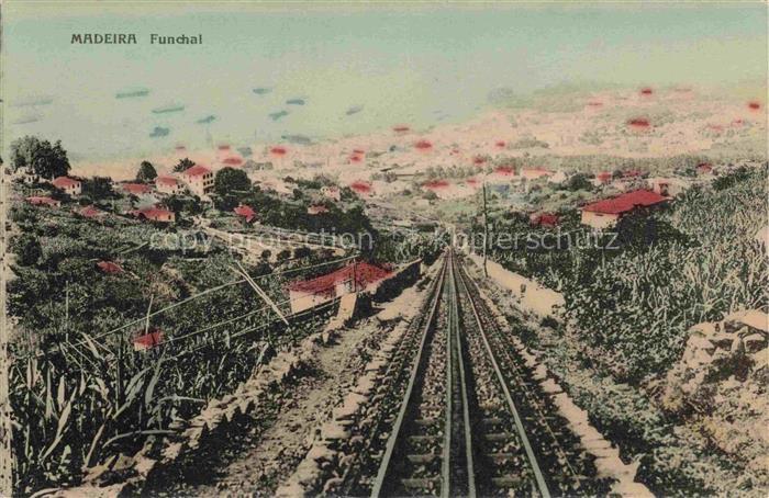 FUNCHAL Madeira PT Zahnradbahn Eisenbahn Stadtpanorama Daecher Vegetation Berge