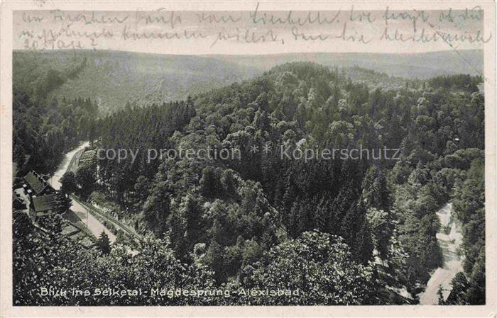 Alexisbad Harz Selketal Magdesprung Wald Tal Harz Panorama Berge Strasse
