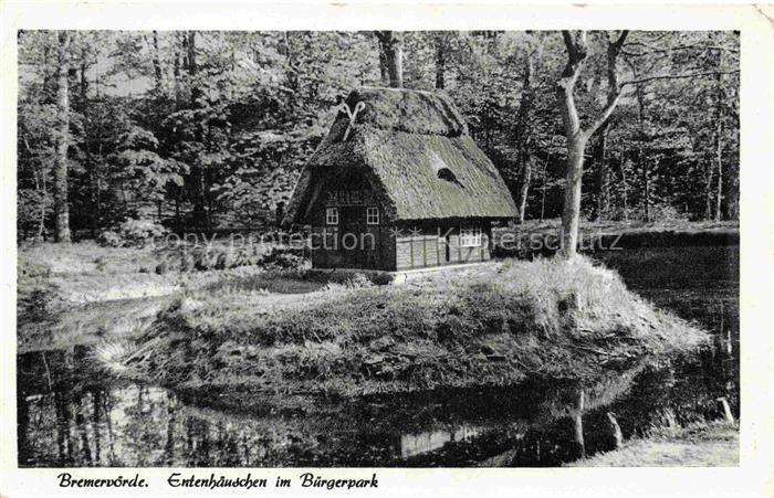 Bremervoerde Entenhaeuschen Buergerpark Reetdachhaus Teich Wald Idylle Insel