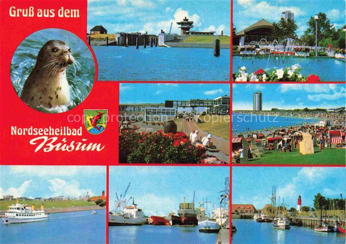 BueSUM Nordseebad Seehund