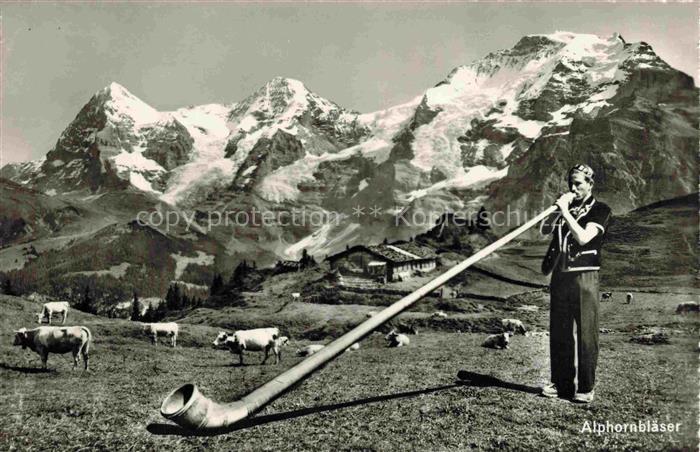 Alphorn Cor des Alpes-- Kuehe Schweiz