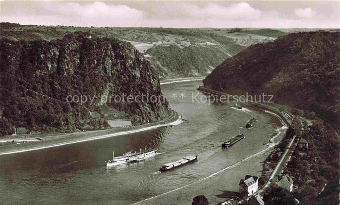 Schiffe Binnenschifffahrt Das Felsenstein Loreley St. Goarshausen am Rhein